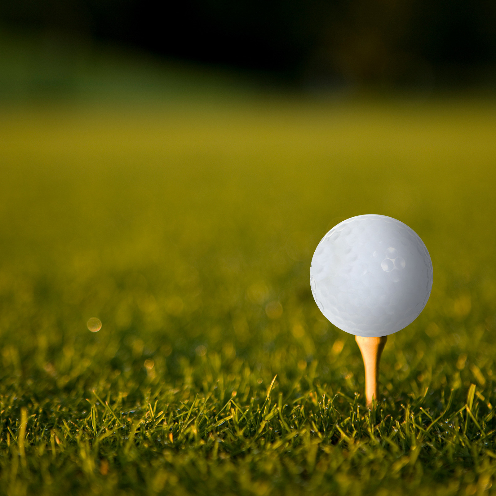 Golfbälle für den Innenbereich – Golf Equipment Beginners Bewertung und Preis